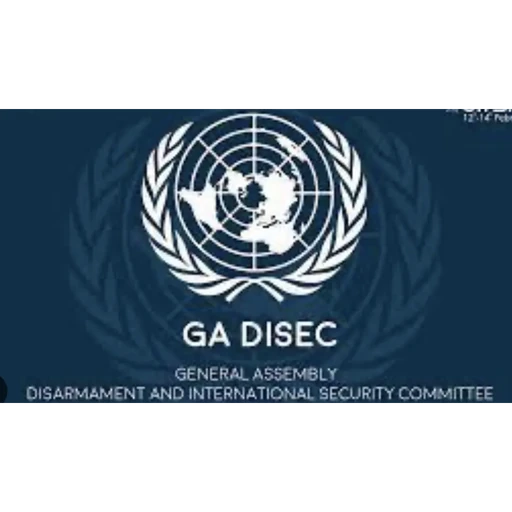 UN General Assembly