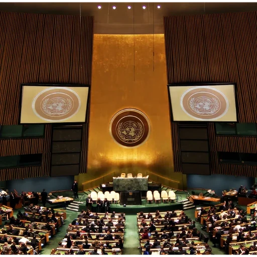 United Nations General Assembly