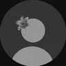 mhonishaa SarawananProfile Picture