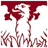 Director GeneralProfile Picture