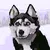 Arjun MulikProfile Picture