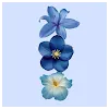 Laksha MouliProfile Picture
