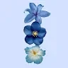 Laksha MouliProfile Picture