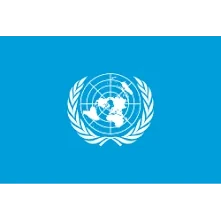 World Health Organisation (WHO)
