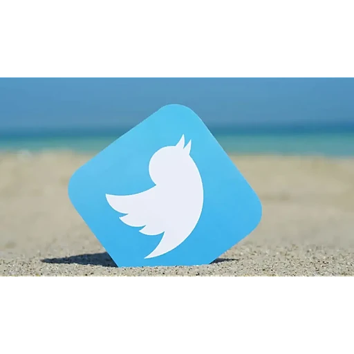 Fire and Fury: 2020–2021 the Issue of Free Speech on Twitter