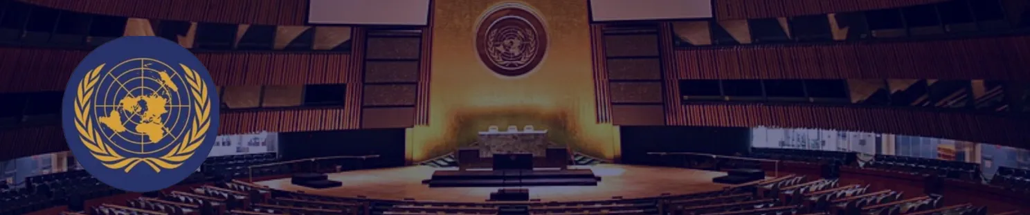 MeloMUN 2024