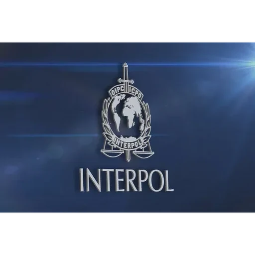 INTERPOL Cybercrime Directorate: Operation Synthetic Front