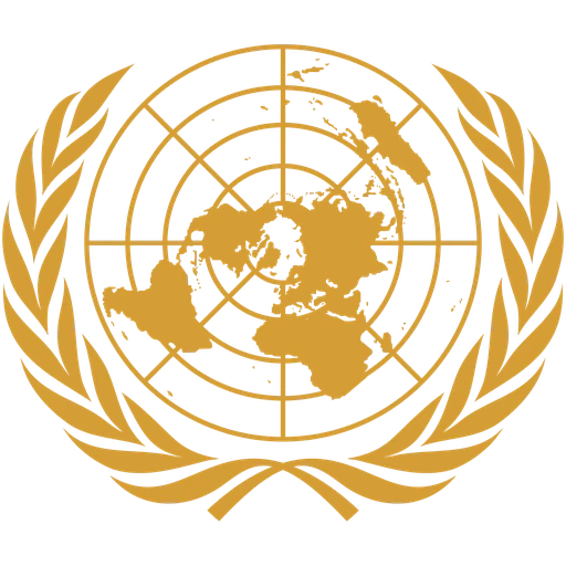 United Nations Economic and Social Council