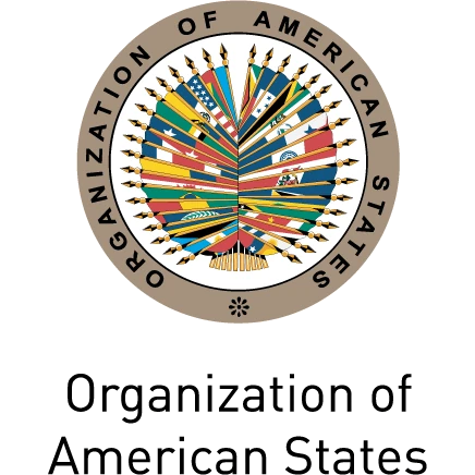 Organization of American States (Spanish speaking - beginner )