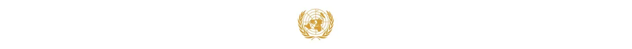 BPSMUN 2024