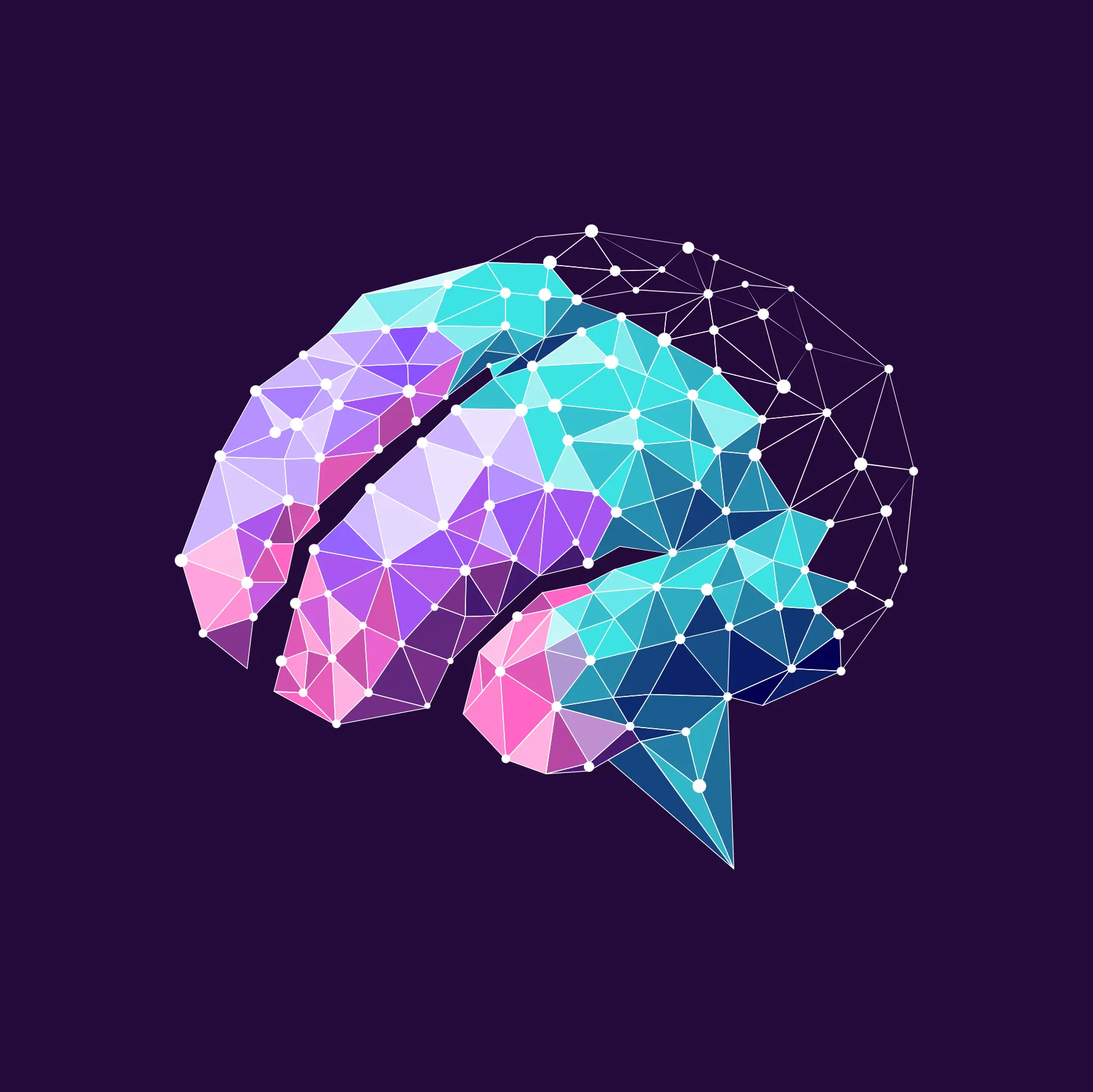 Neural Path 2025