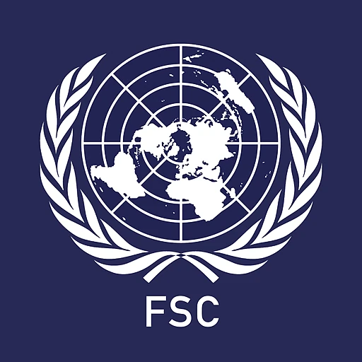 Future Security Council
