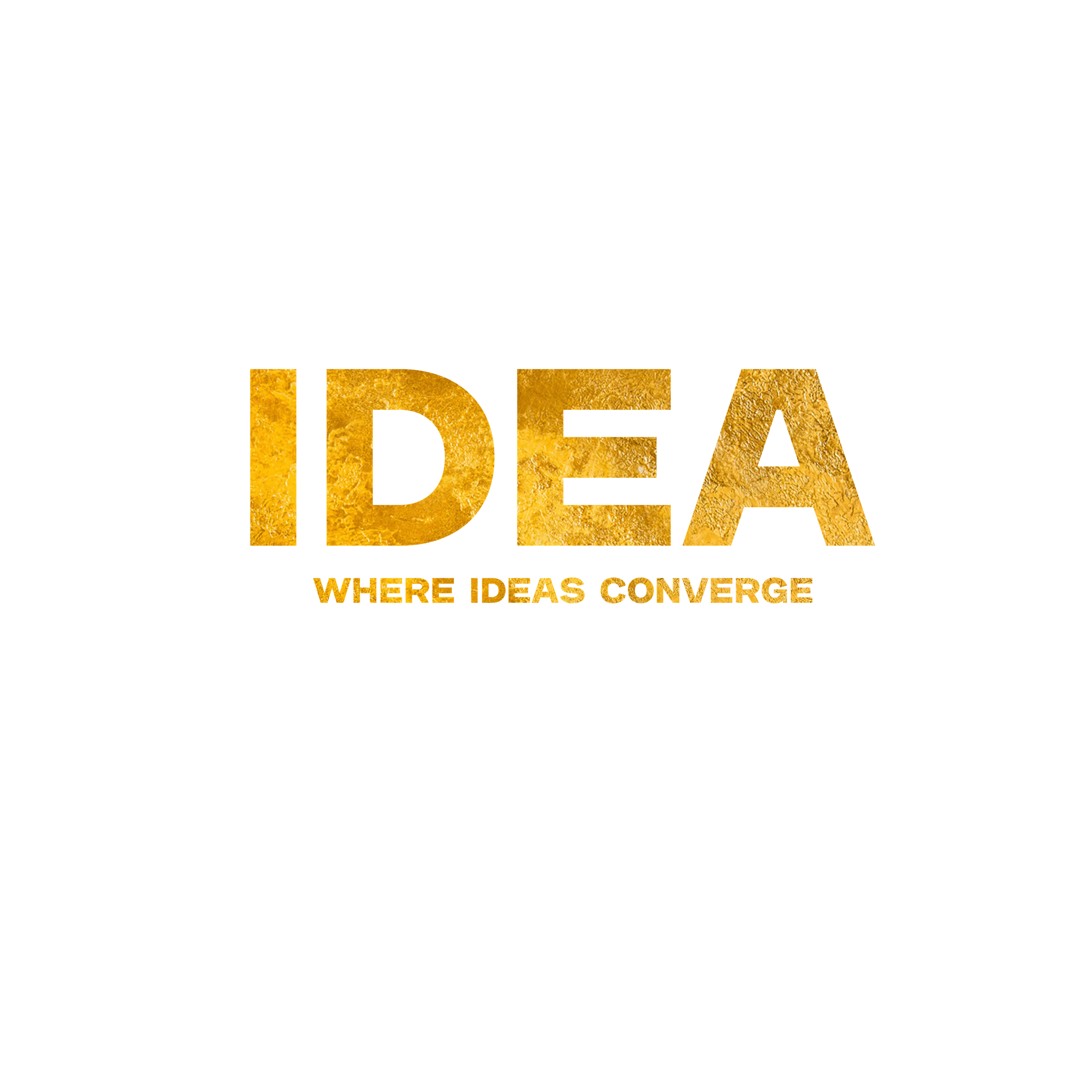 IDEAMUN 2024