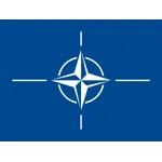North Atlantic Treaty Organization (NATO)