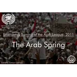 Arab League, 2011