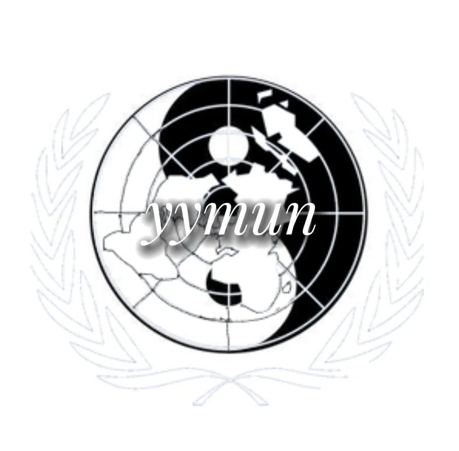 YYIMUN 2023