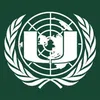 305 Model United Nations at the University of MiamiProfile Picture