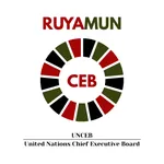 UNCEB (UN Chief Executive Board)