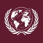 Future Security Council (FSC)