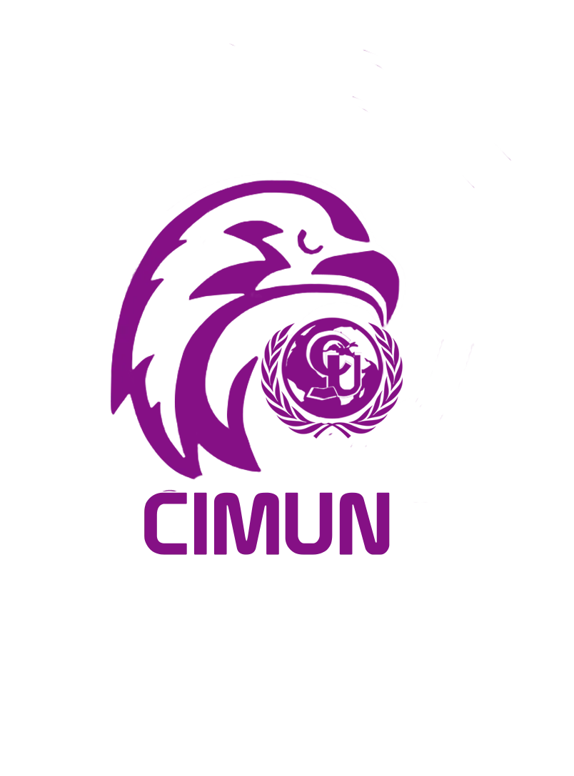 CIMUNAfrica 2020
