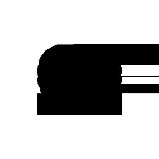 SMUNBD 2017 logo