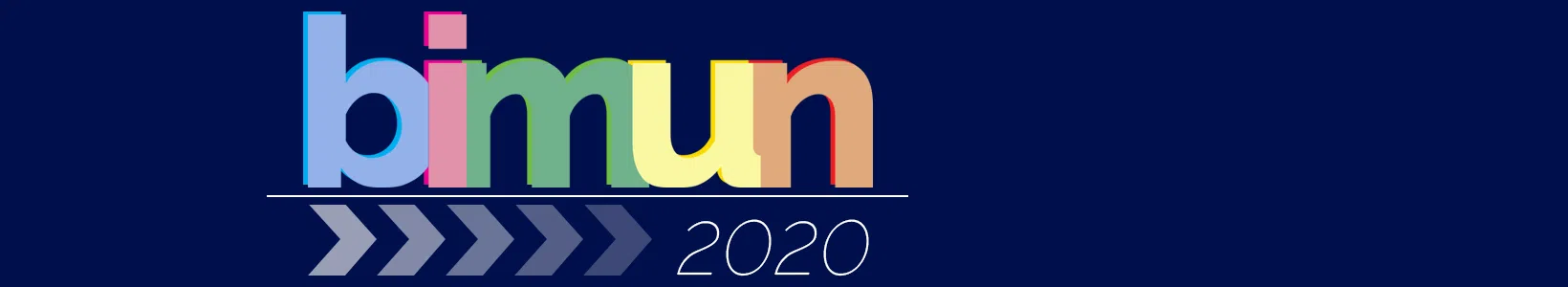 BIMUN 2020