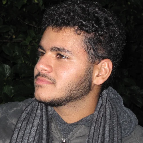 Nour Aljowaily