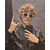 Jan PróchniewiczProfile Picture