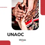 UNAOC (eng)