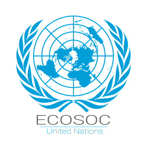 Economic and Social Council (ECOSOC)