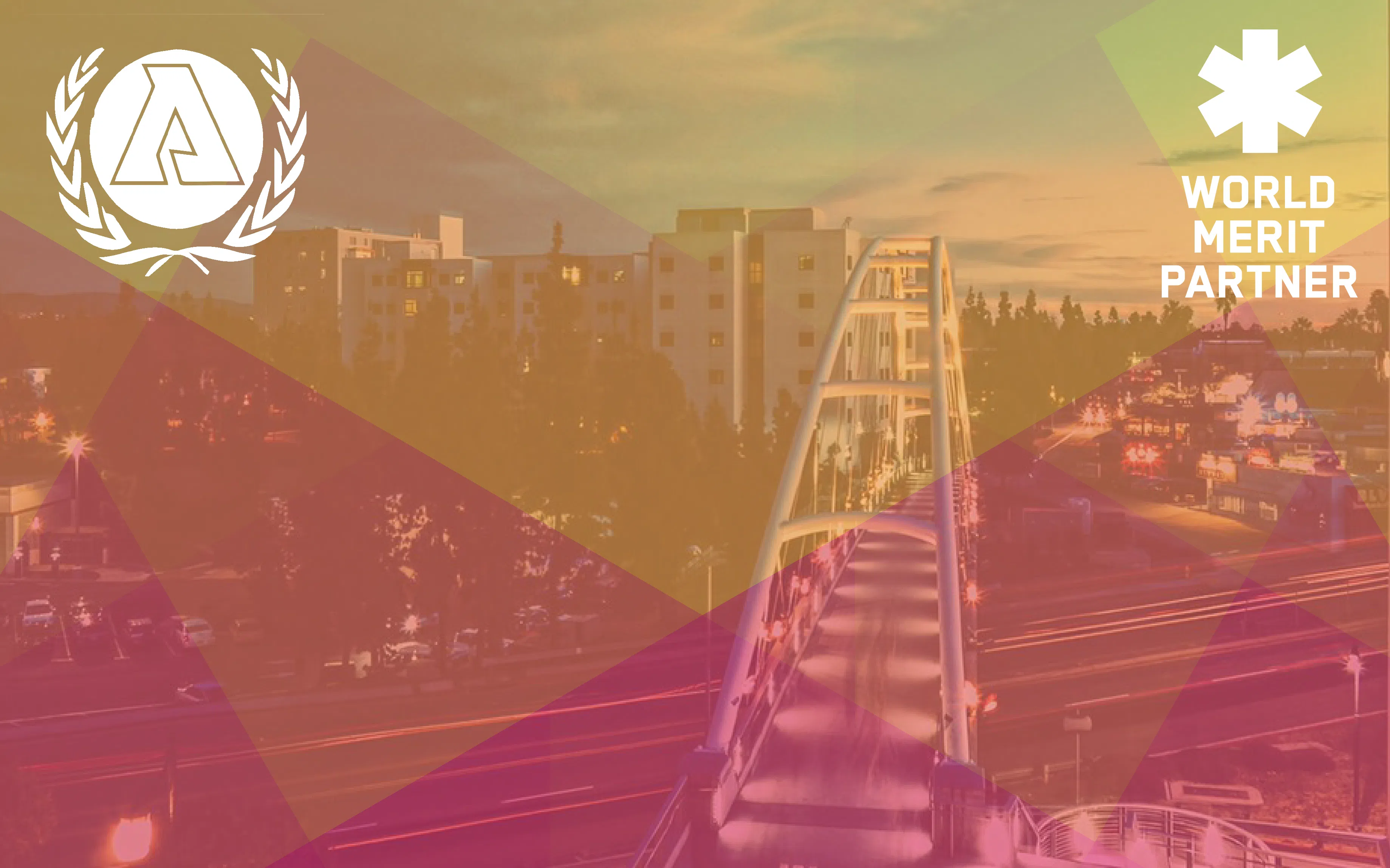 AIMUN 2017