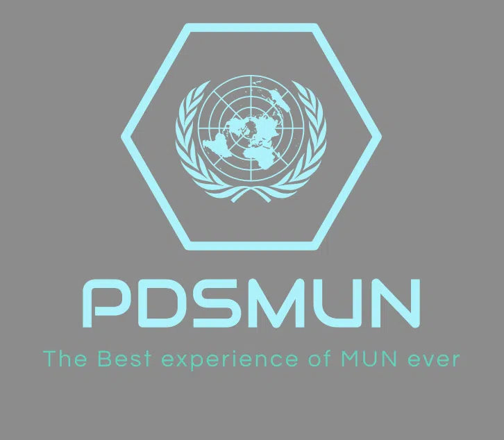 PDSMUN 2020