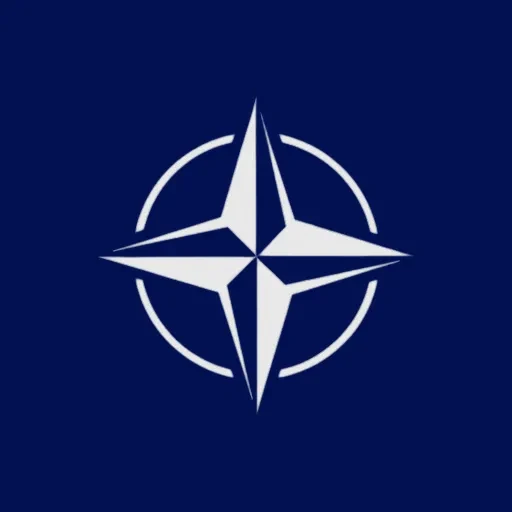 North Atlantic Treaty Organisation (NATO)
