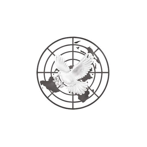 United Nations Security Council (UNSC)