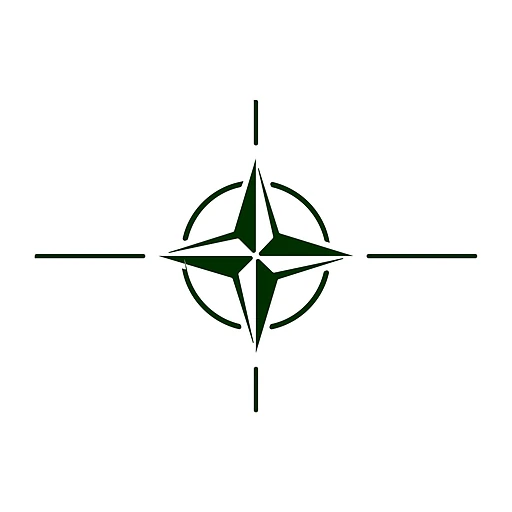 North Atlantic Treaty Organisation (NATO)
