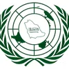 Saudi Arabia Model United NationsProfile Picture