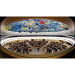 United Nations Human Rights Council