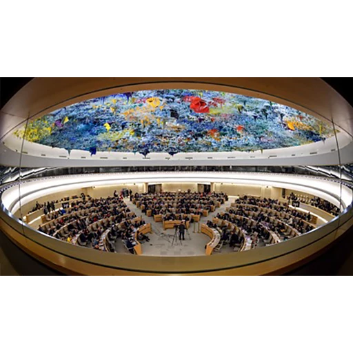 United Nations Human Rights Council