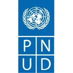 PNUD - Programme des Nations unies pour le développement (Niveau intermédiaire)