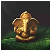 Adarsh HaraleProfile Picture