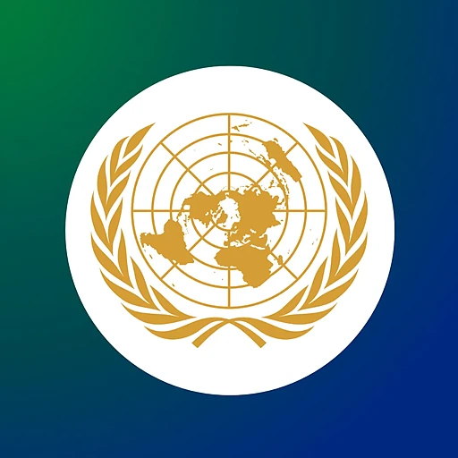 Security Council (University)