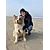Tijl LansbergenProfile Picture