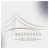 Bosphorus CollectiveProfile Picture