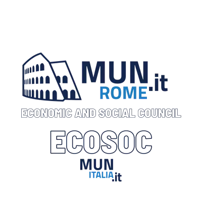Economic and Social Council (ECOSOC)