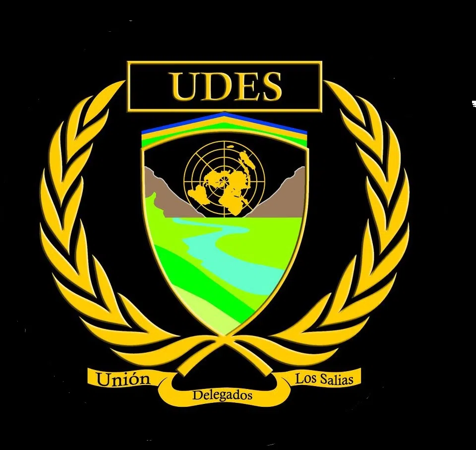 UDESMUN 2015