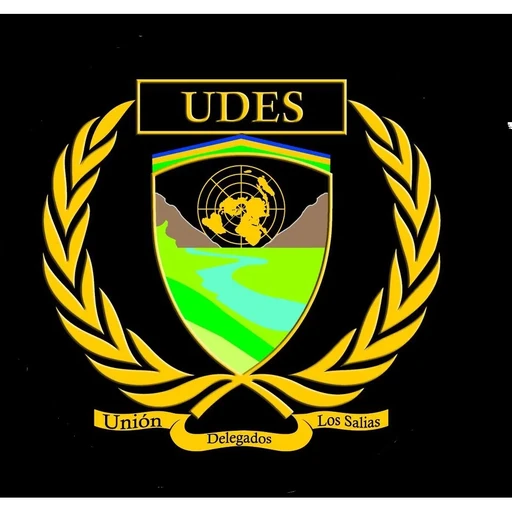 UDESMUN 2015 logo