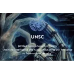 United Nations Security Council