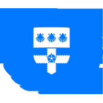 Economic and Social Council (ECOSOC)