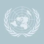 United Nations Security Council (UNSC)