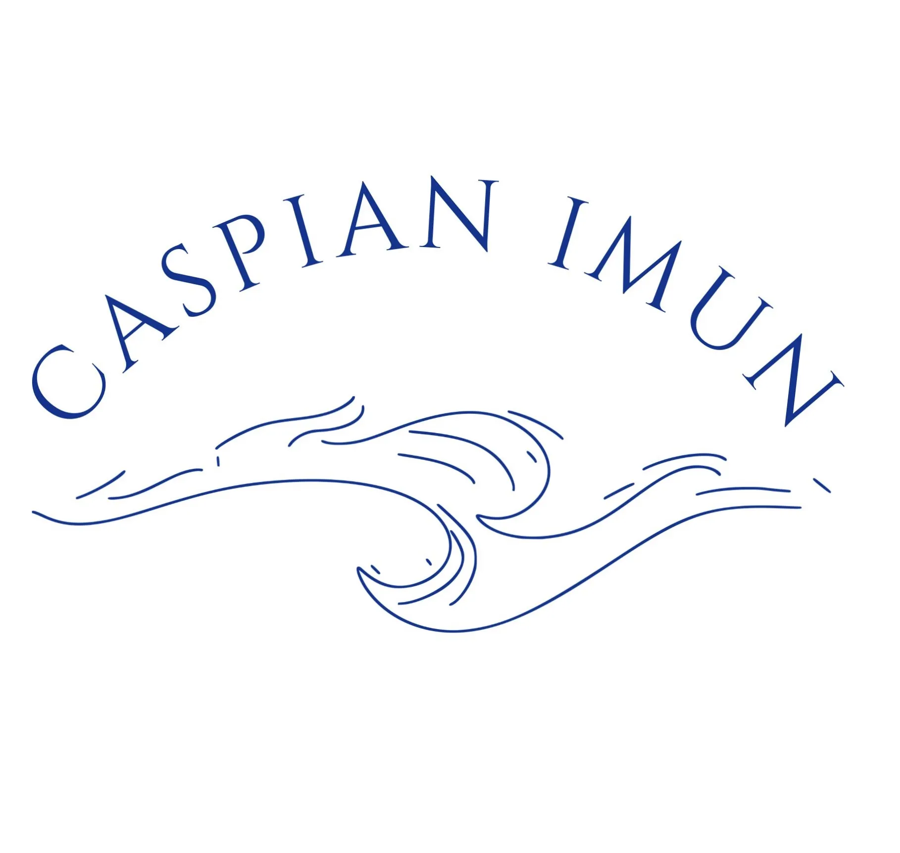 Caspian IMUN 2025